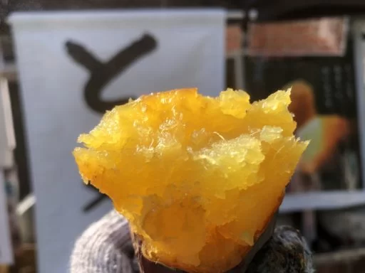 【滋賀・大津】石焼いも専門店 いも福亭｜ねっとり濃厚！素材の旨みを閉じ込めた極上とろやきいも